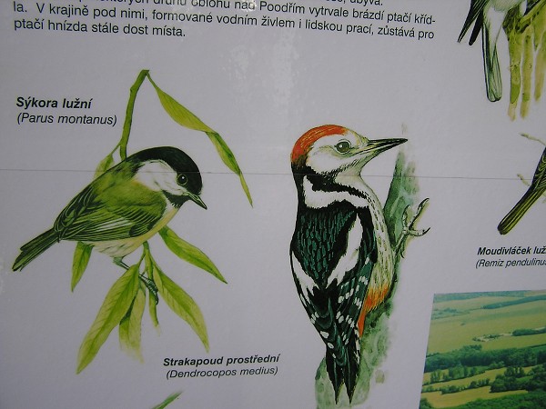 Záchranná stanice Bartošovice